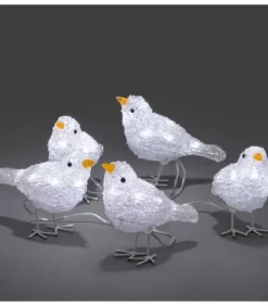 5 Oiseaux Lumineux A Led