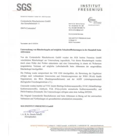 Cone D'Encens Senteur Sapin