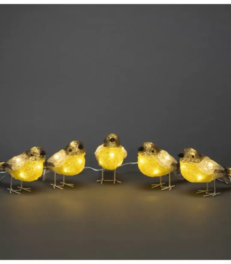 Oiseaux Lumineux Led En Acrylique, 5 Chardonnerets